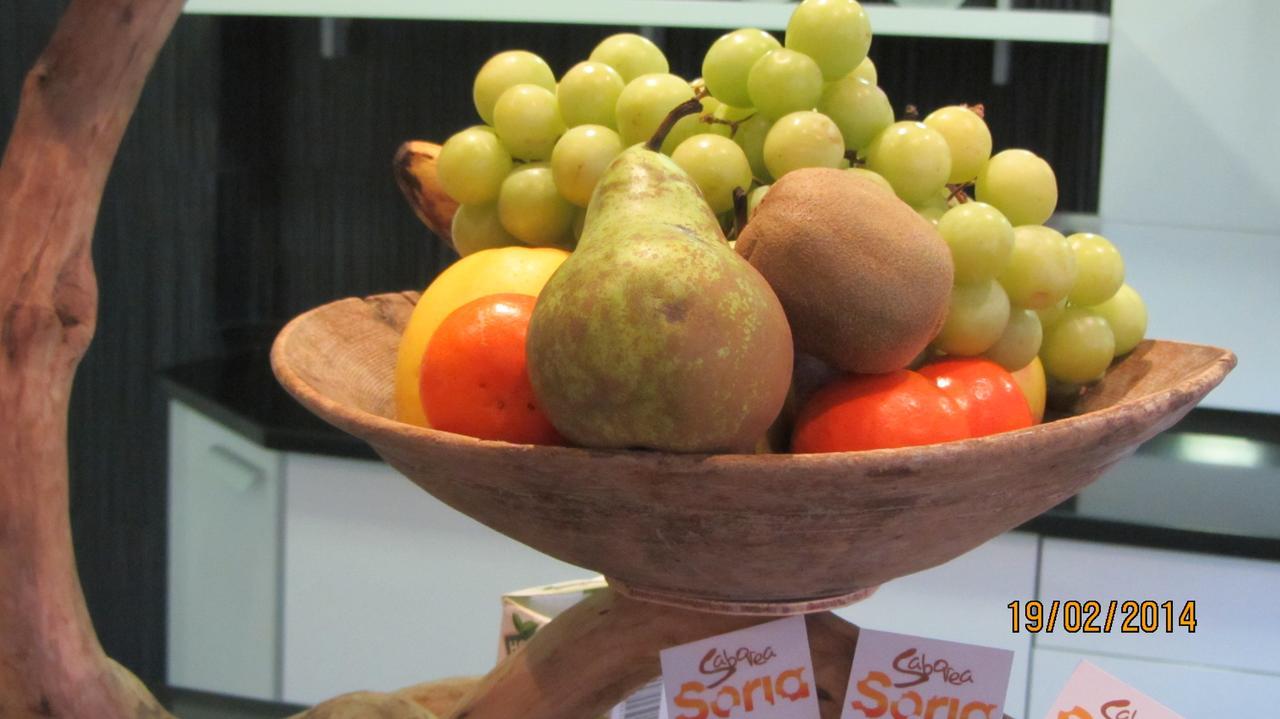 Casa Rural La Prensa De Vino Otel San Esteban De Gormaz Dış mekan fotoğraf